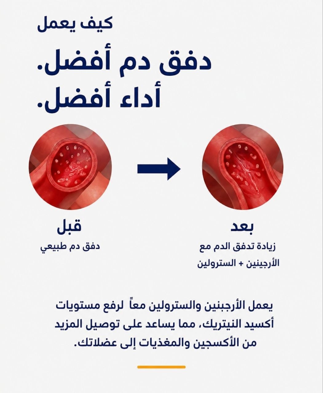 Arginine+Citrulline
